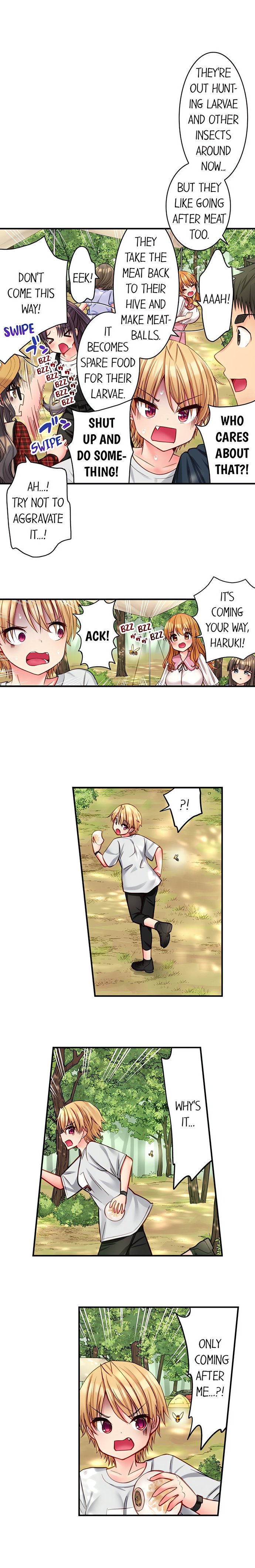 Harem Camp!