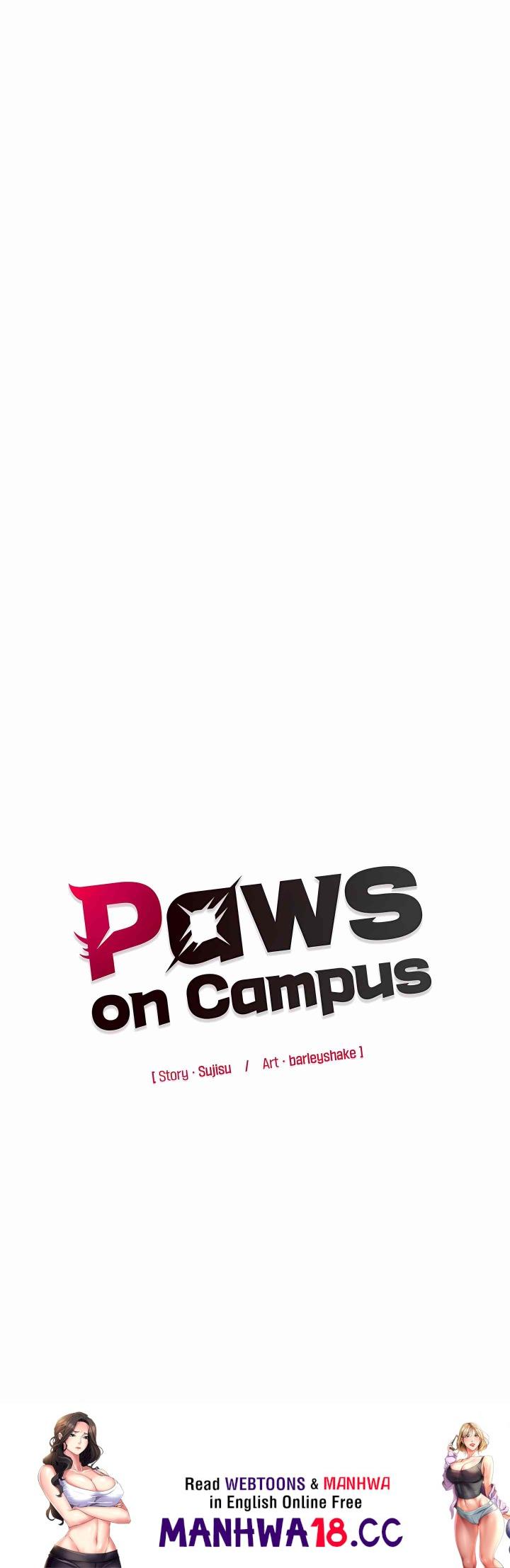 Paws on Campus