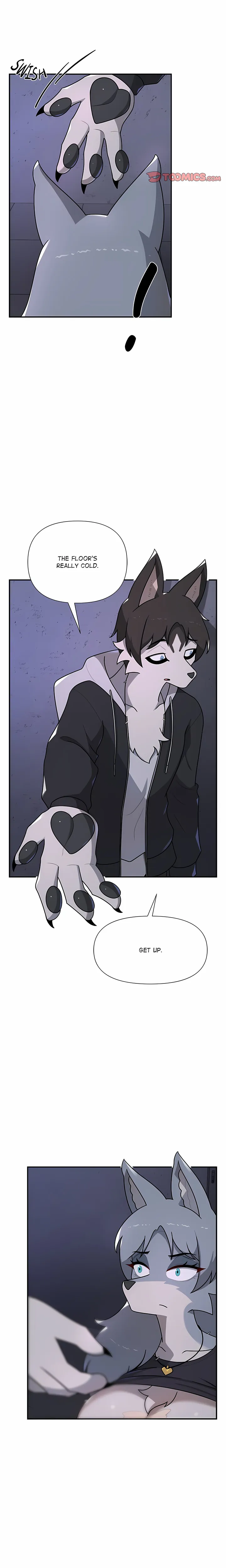 Paws on Campus