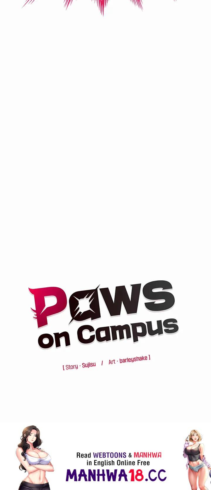 Paws on Campus