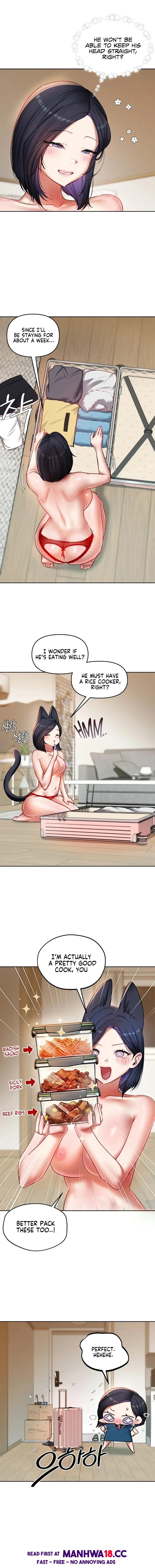 The Professor’s Secret Account