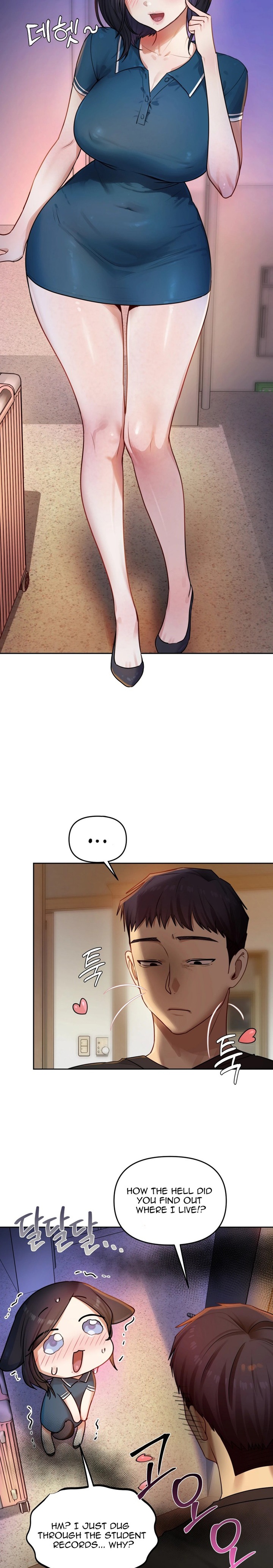 The Professor’s Secret Account