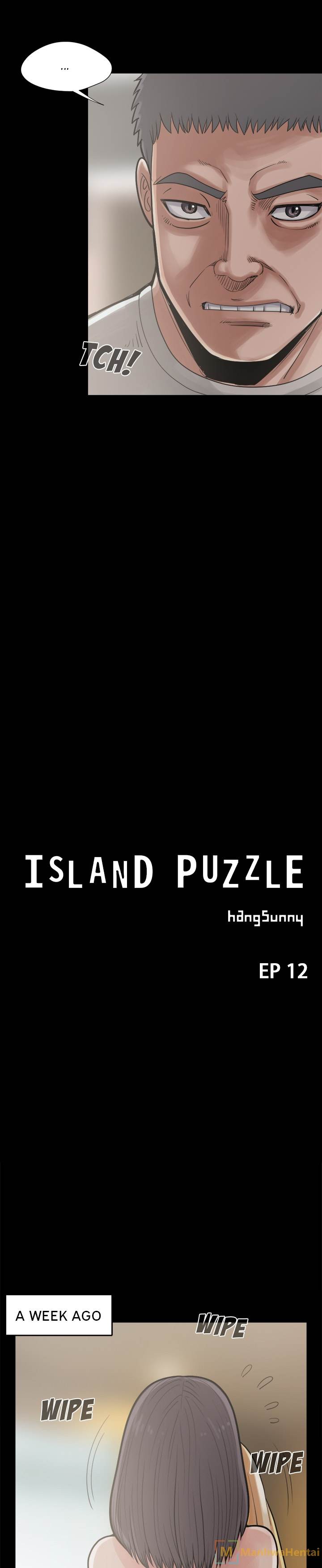 Island Puzzle