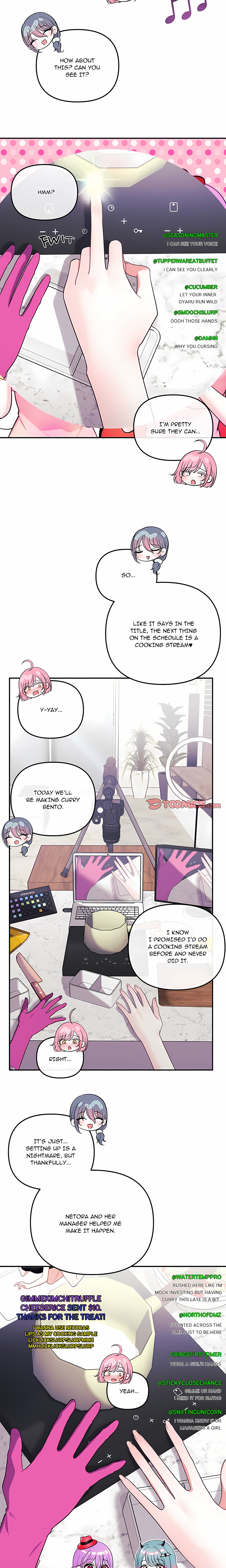 My Wife is a VTuber