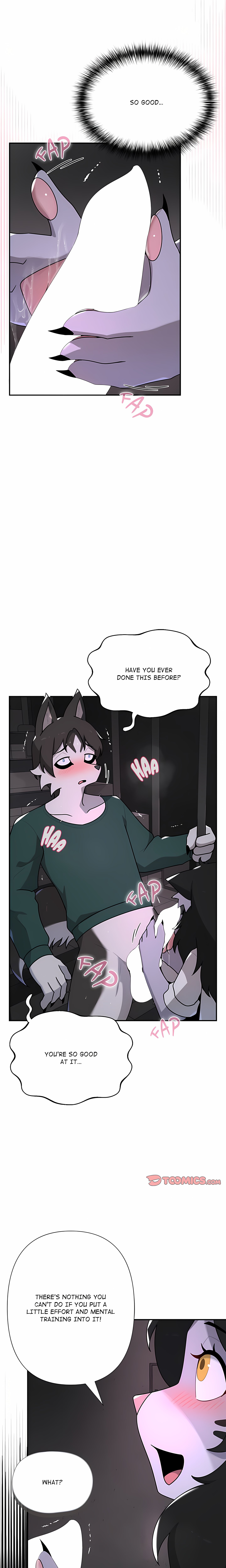 Paws on Campus