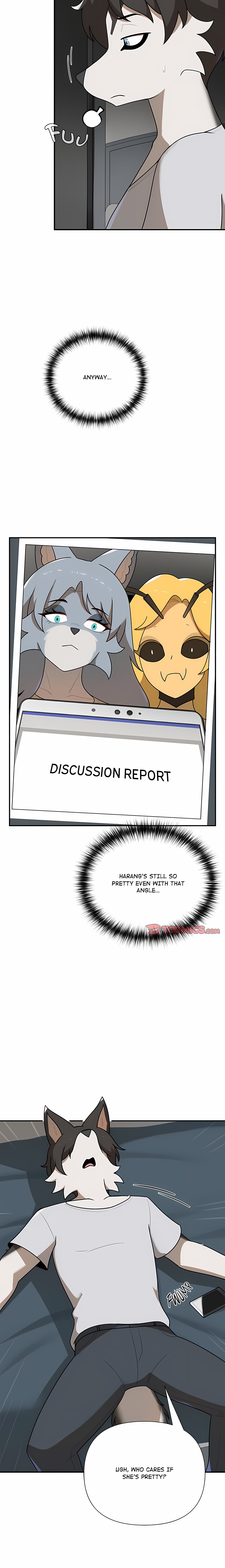 Paws on Campus