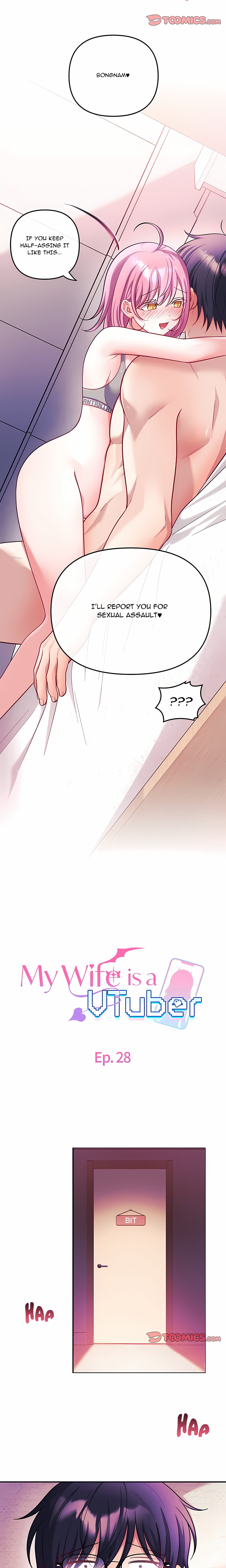 My Wife is a VTuber