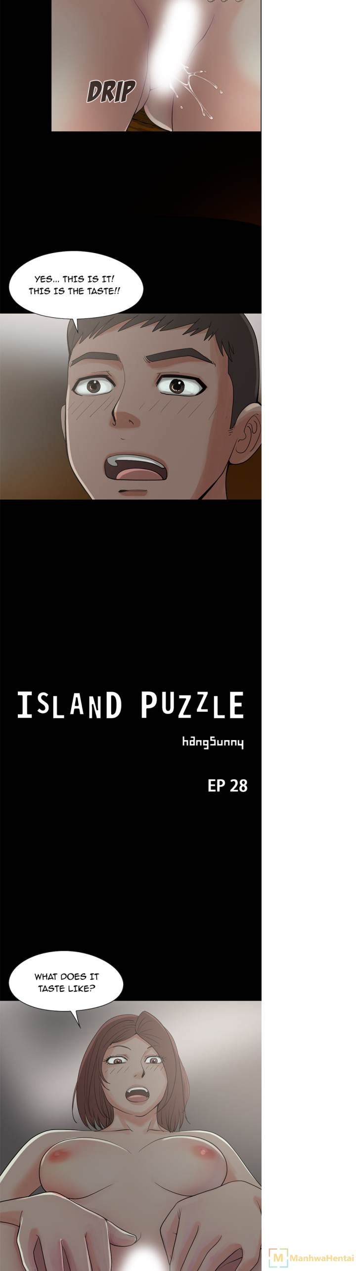 Island Puzzle