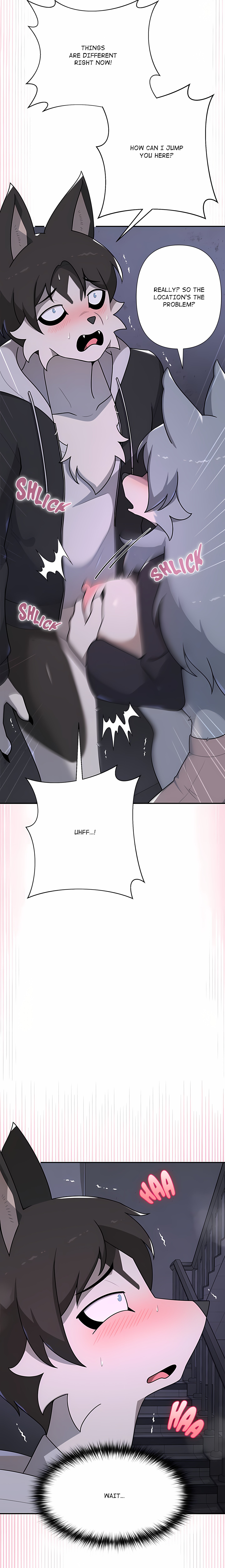 Paws on Campus