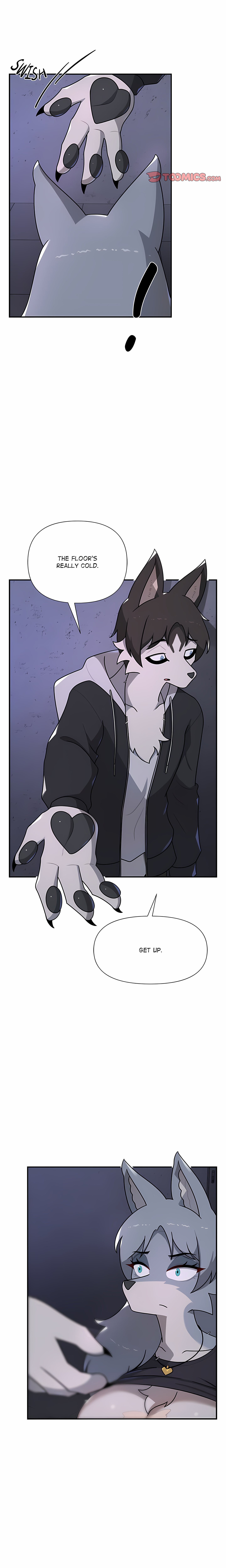 Paws on Campus