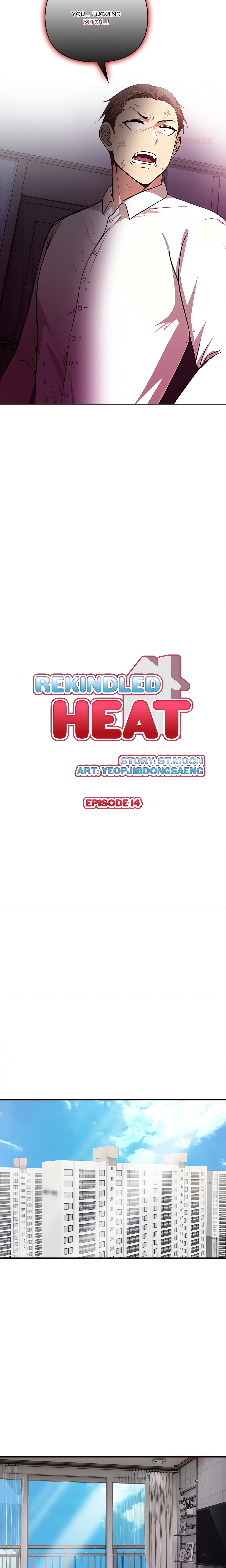 Rekindled Heat Chapter 14 Page 2